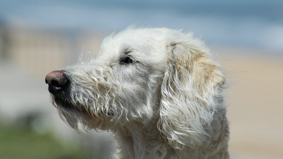 Skills sind Ablenkung — Zustände entscheiden. Von der Skill-Liste zur Zustandssteuerung.